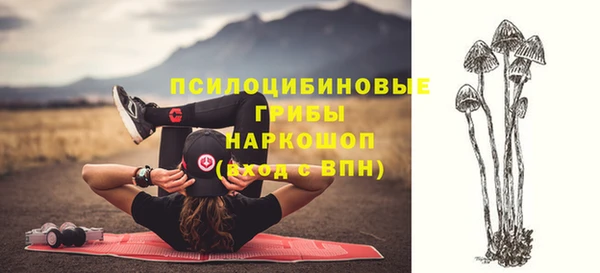 мдма Белокуриха