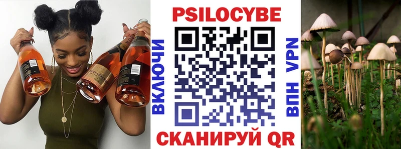 купить Велиж Псилоцибиновые грибы мицелий